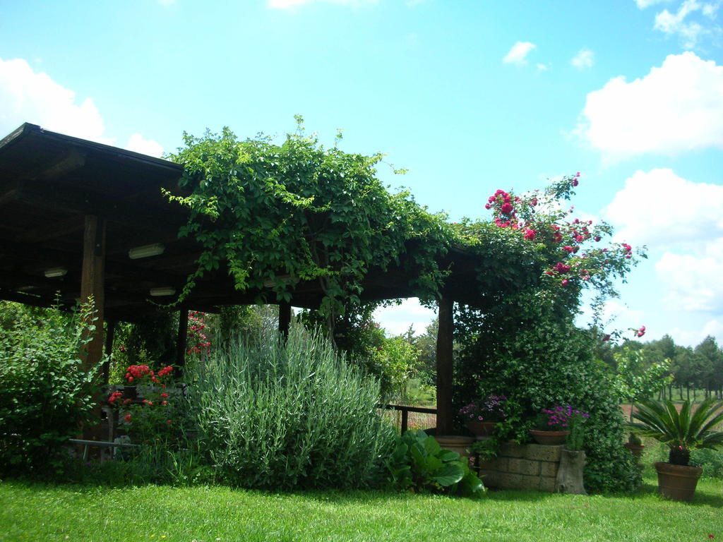 Podere Le Chiuse Sovana Kültér fotó