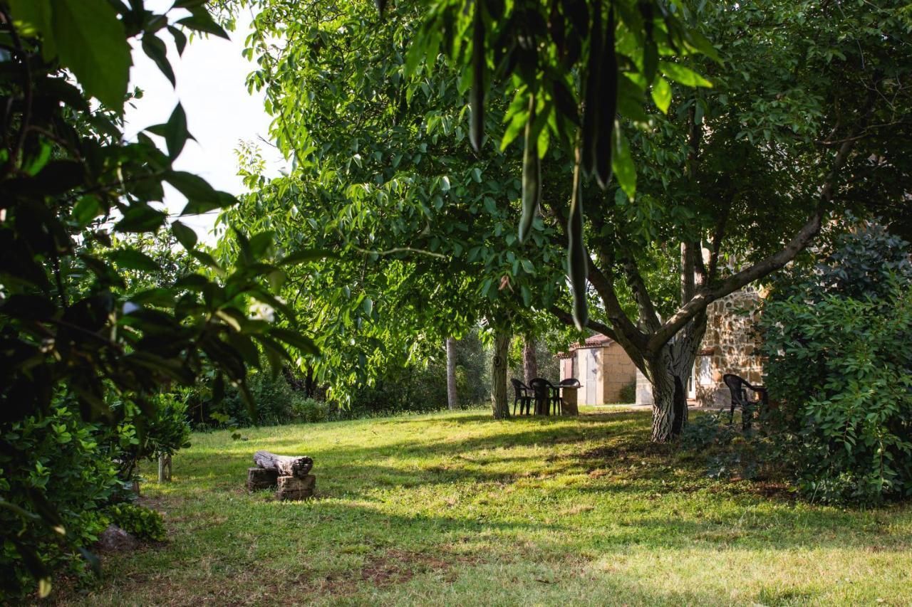 Podere Le Chiuse Sovana Kültér fotó